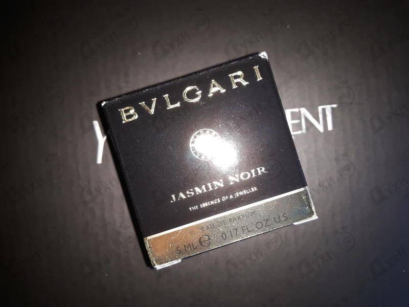 parfum bvlgari jasmin noir